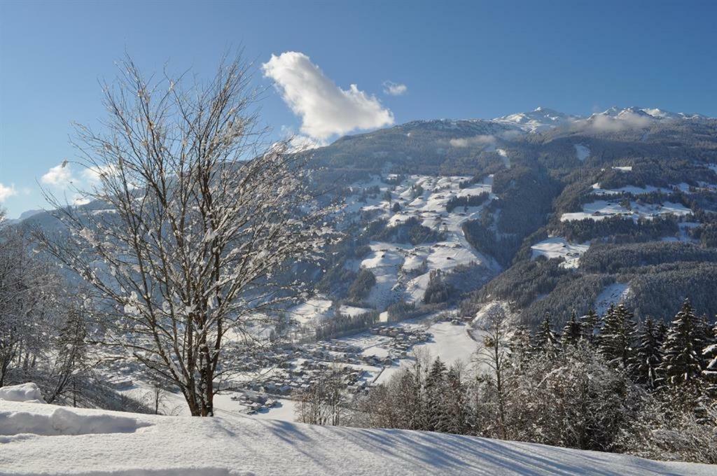 Apartmán Schweinberger Sixtus Aschau Im Zillertal Exteriér fotografie