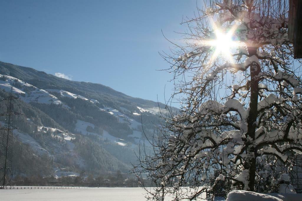 Apartmán Schweinberger Sixtus Aschau Im Zillertal Exteriér fotografie
