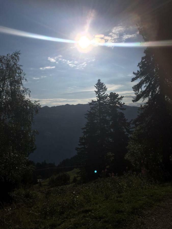 Apartmán Schweinberger Sixtus Aschau Im Zillertal Exteriér fotografie